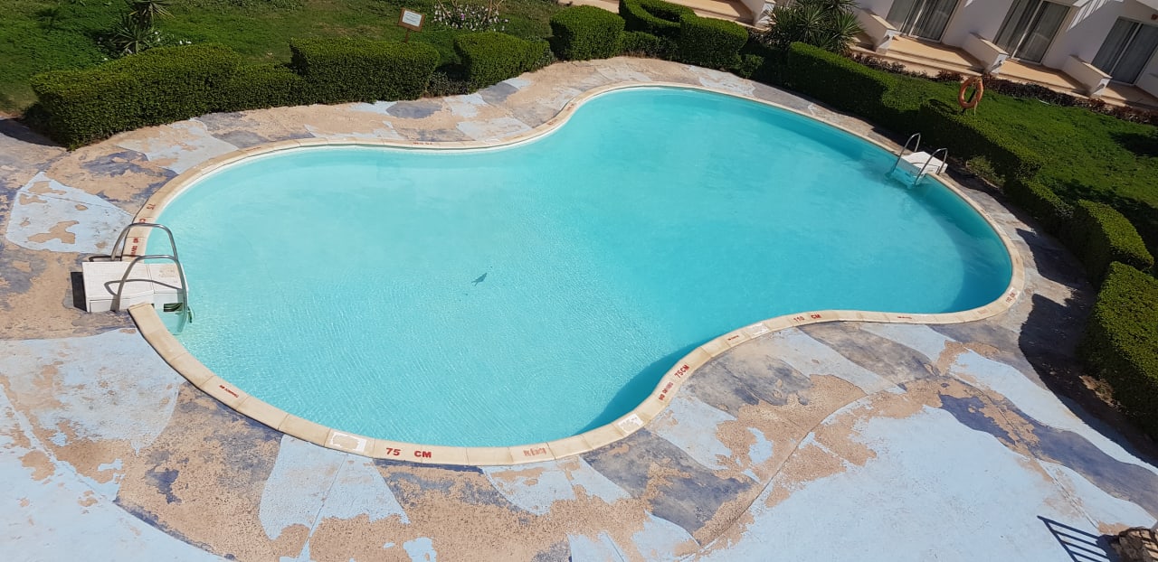 Pool Siva Sharm