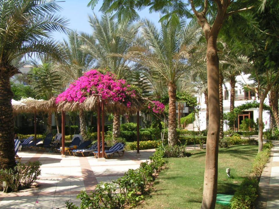 Ogrod JAZ Fanara Resort
