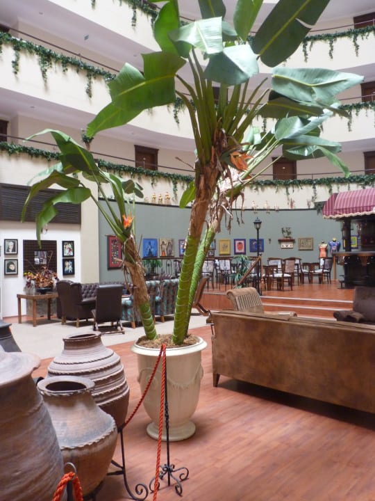 Sehr schön Hotel Royal Garden Beach