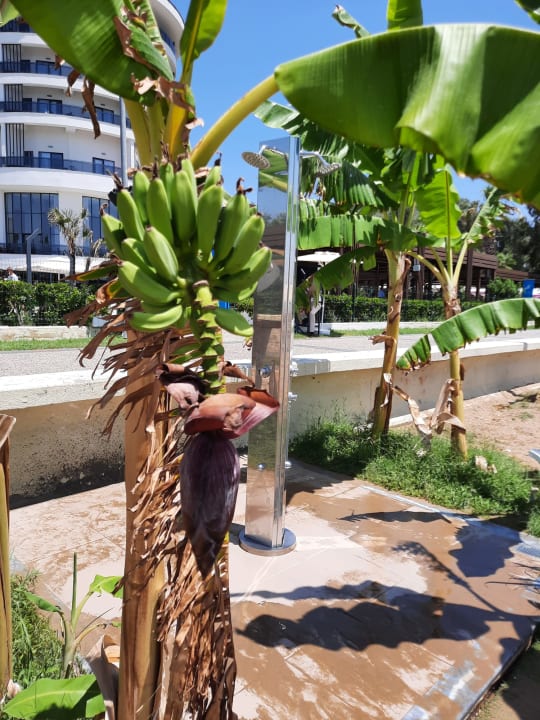 Sonstiges Seaden Quality Resort & Spa