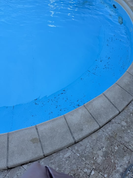 Pool Bluesun Hotel Neptun