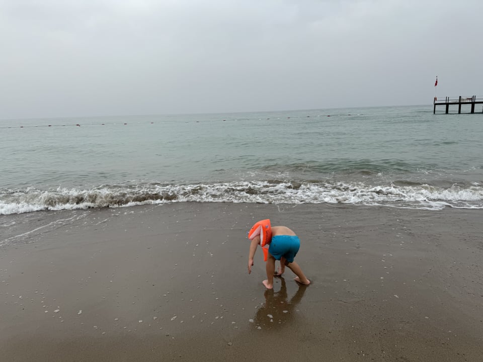 Strand Papillon Ayscha