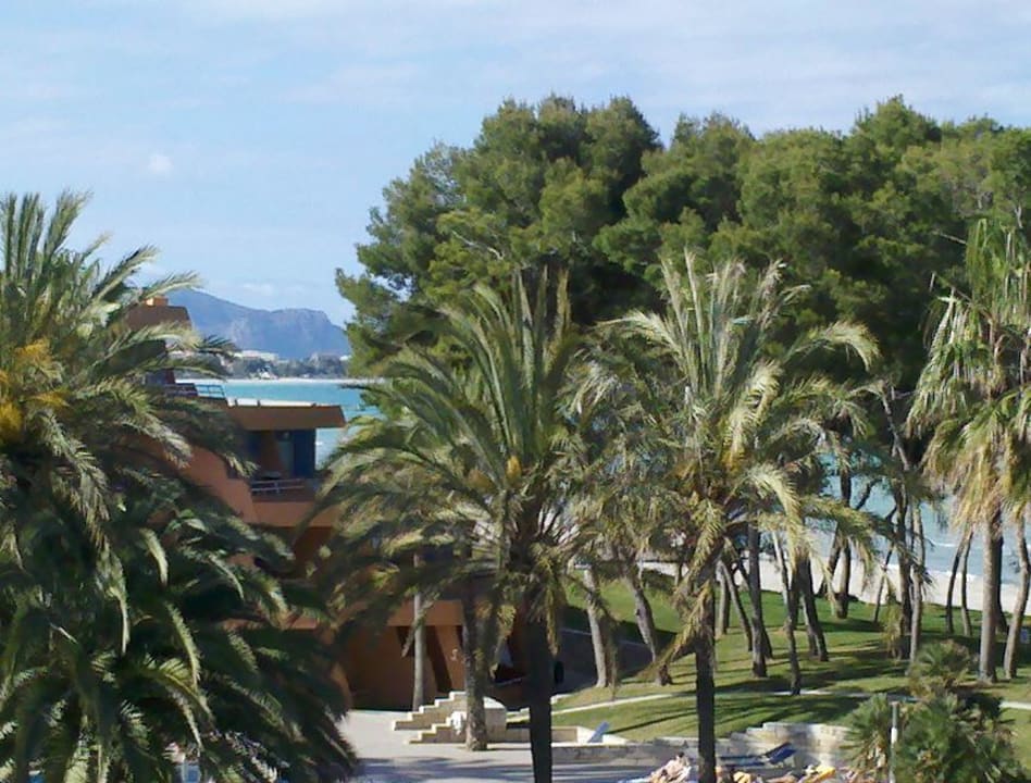 Blick vom Balkon 3.Etage Iberostar Waves Playa de Muro