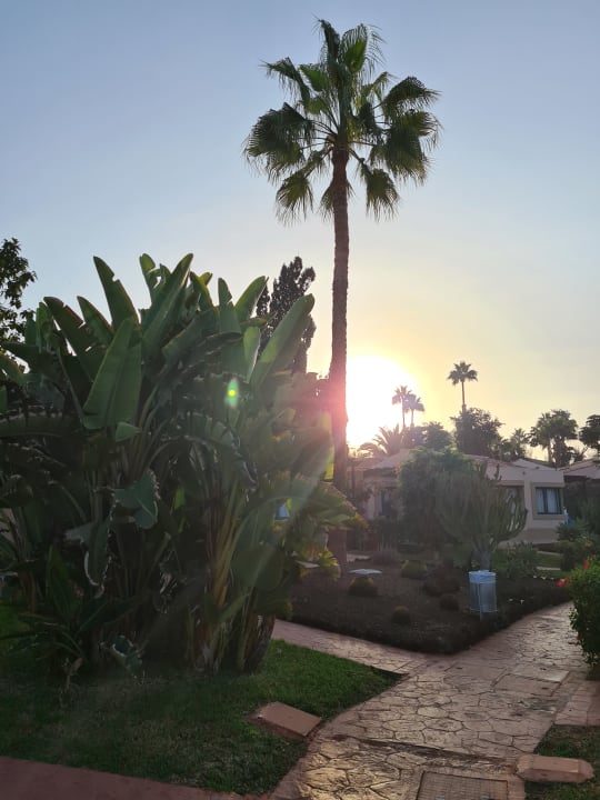 Ausblick allsun Hotel Esplendido