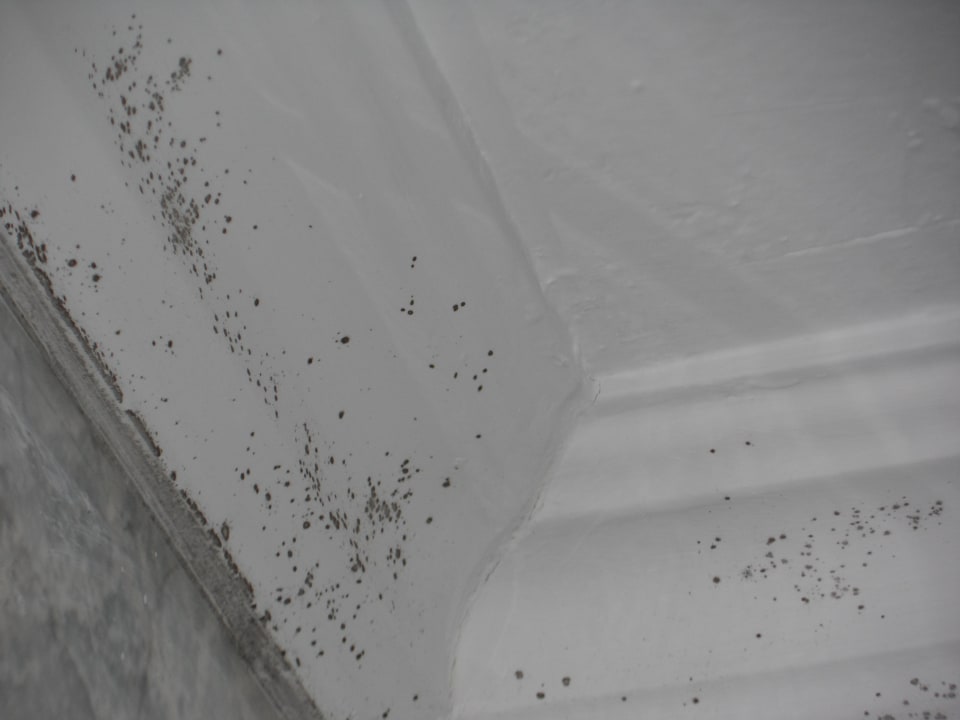 Leider Schimmel im Bad Atlantic Mirage Suites & Spa - Adults only