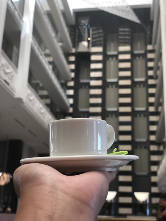 Gastro Adalya Elite Lara