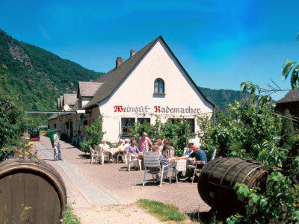Weingut Rademacher mit Sonnenterrasse am Weinberg Gästehaus Weingut Gutsschänke Rademacher