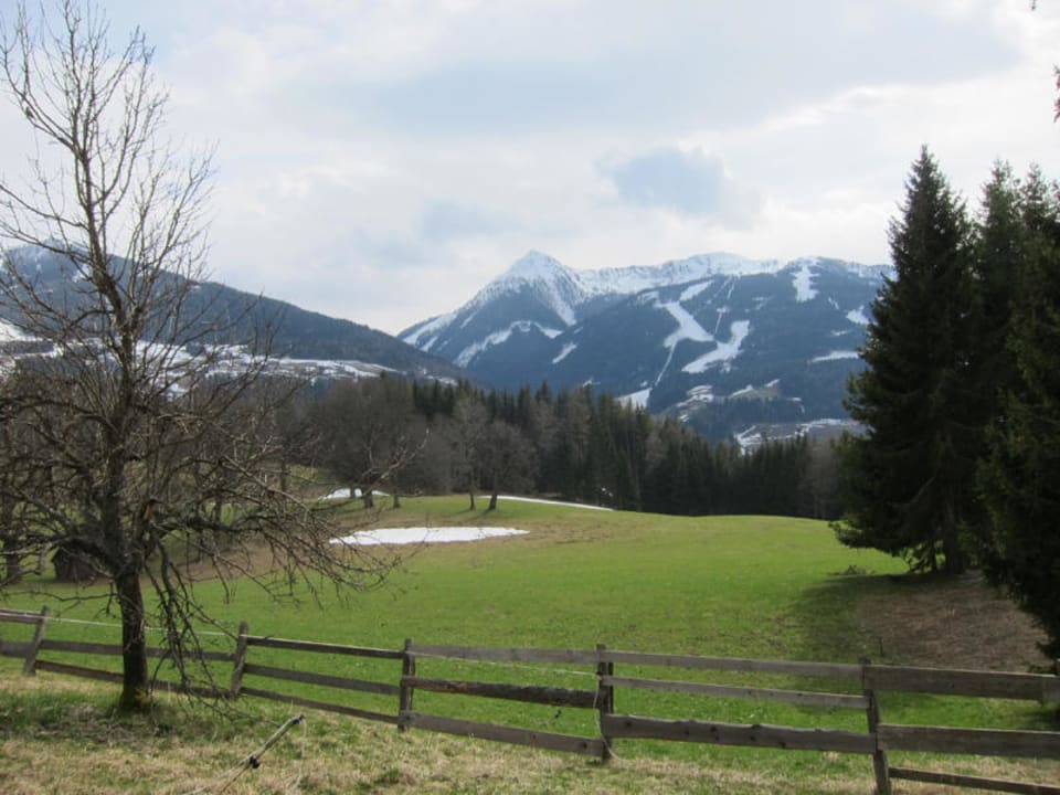 Ausblick, hinter dem Haus Naturhaus Lehnwieser