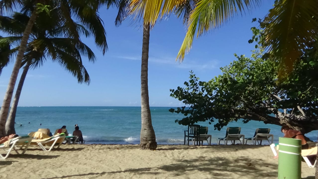 Vom Liegestuhl zum Meer Senator Puerto Plata Hotel
