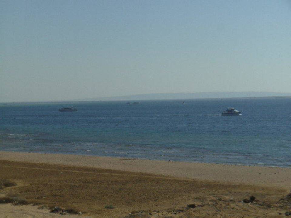 Aussicht vom Zimmer aus Beach Albatros Resort