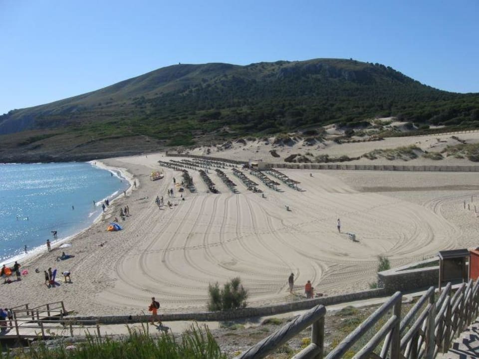 frisch abgezogener Strand am Morgen Zafiro Cala Mesquida