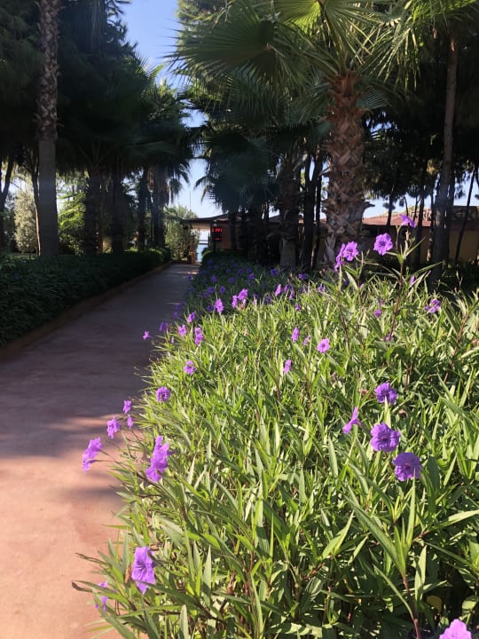 Gartenanlage Club Turtas Beach Hotel