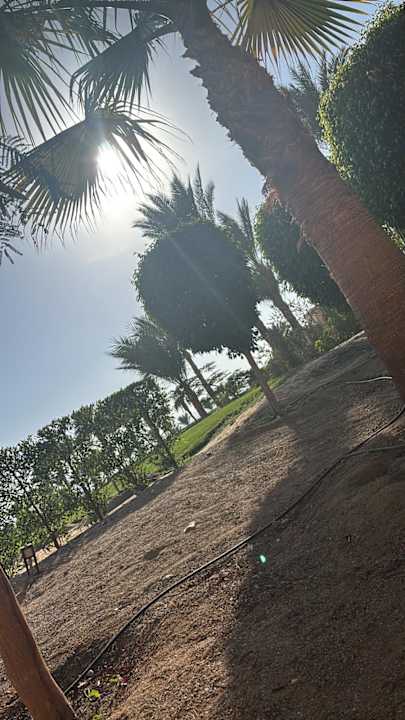 Außenansicht Jaz Solaya