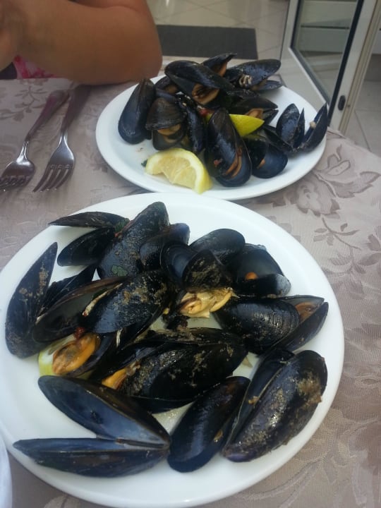 Vorspeise ( sovie lman will) Hotel Brooklyn