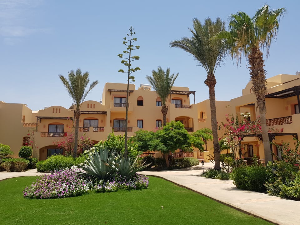 Garten Steigenberger Coraya Beach - Adults only