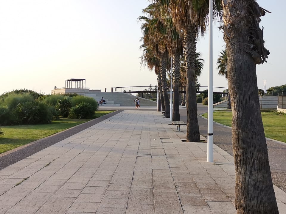 Gartenanlage Hotel Best Costa Ballena
