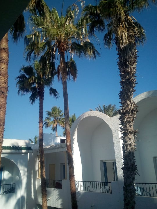 Außenanlage Hotel Nesrine