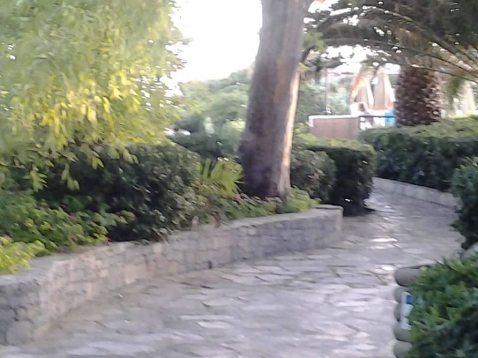 Weg zum Meer und Pool Apollonia Beach Resort & Spa