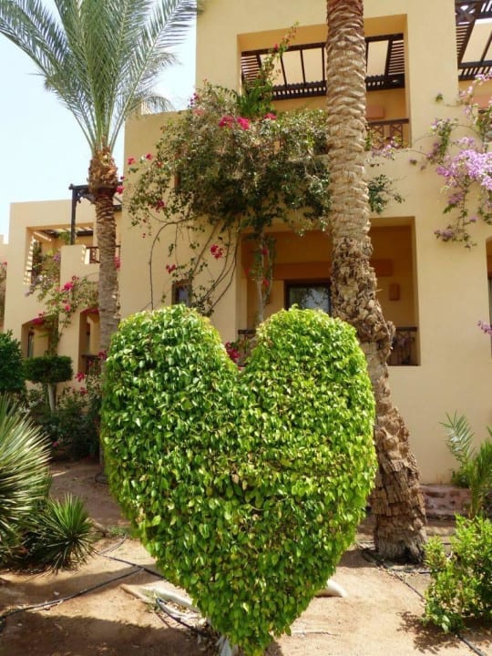 Alles sehr geflegt Steigenberger Coraya Beach - Adults only