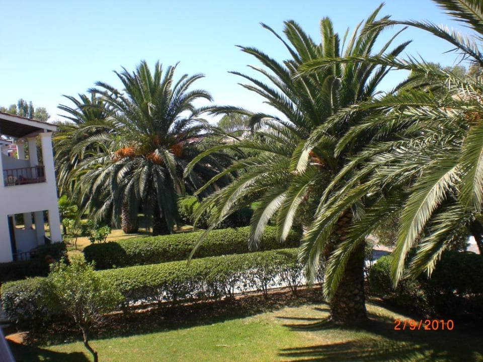 Blick vom Balkon Acharavi Beach Hotel