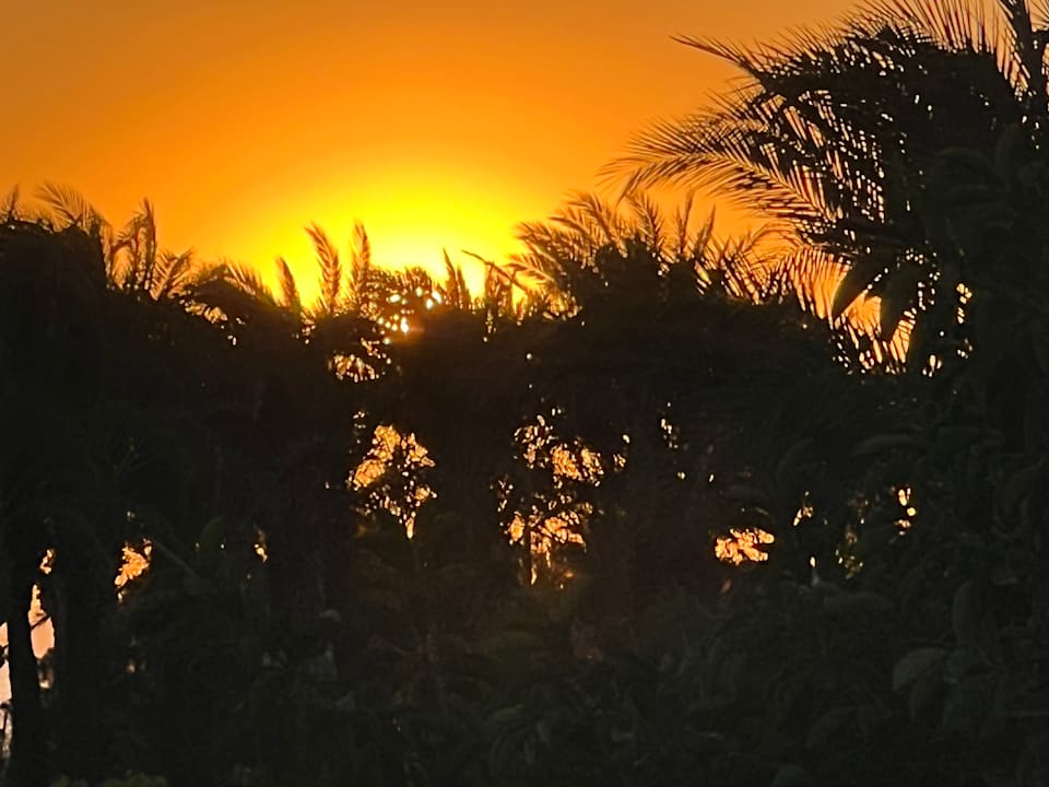 Zimmer AQI Pegasos World