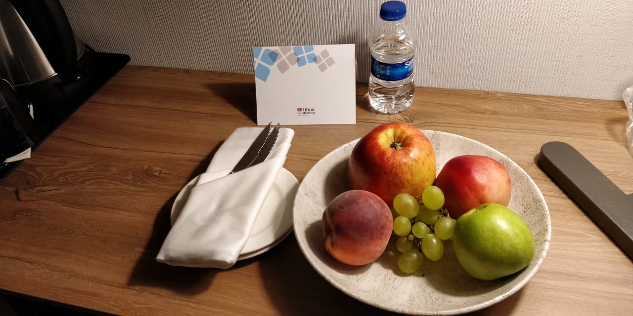 Zimmer Hilton Garden Inn Vilnius City Centre