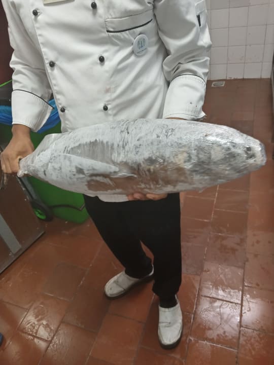 Gastro Jaz Makadi Oasis Resort