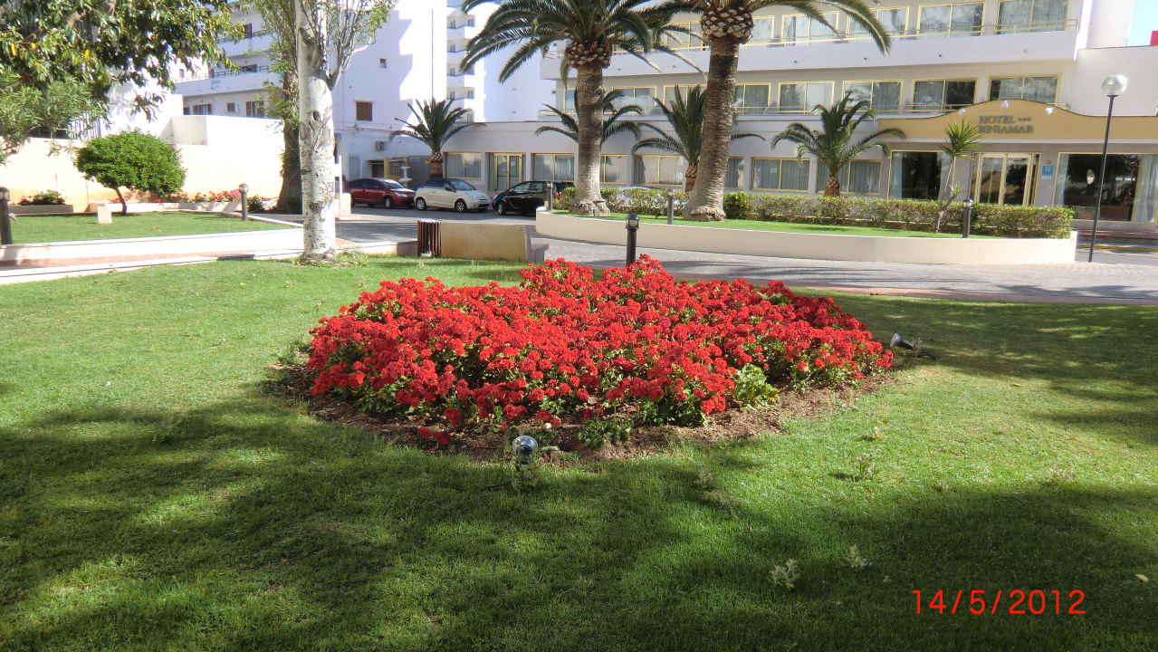 Garten CM Playa del Moro