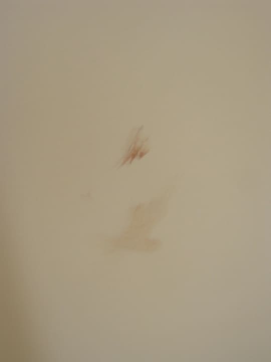 Bettumrandung Bodrum Beach Resort