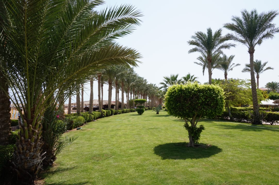 Gartenanlage JAZ Mirabel Beach