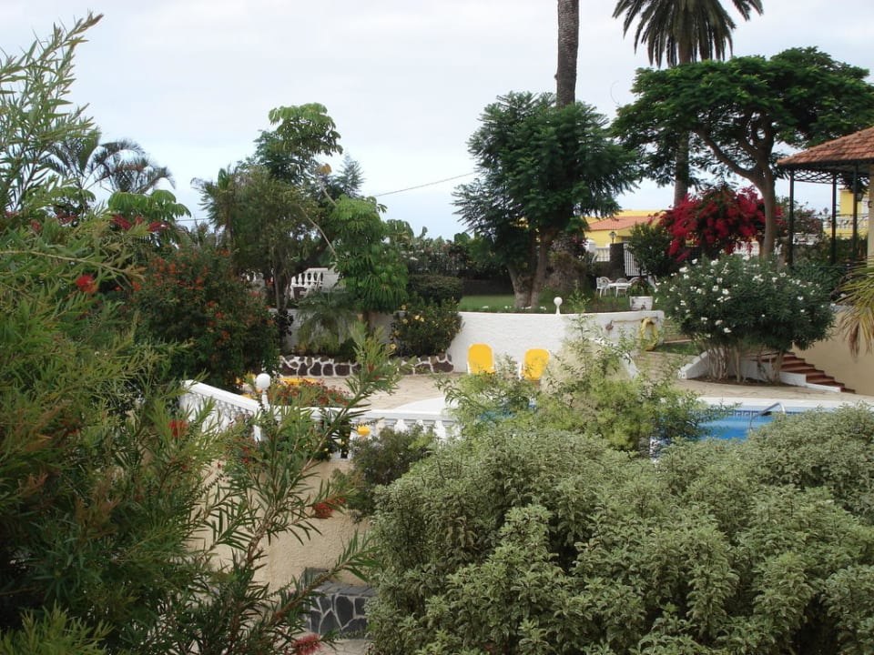 Swimmingpool und Garten Villa Rosalva