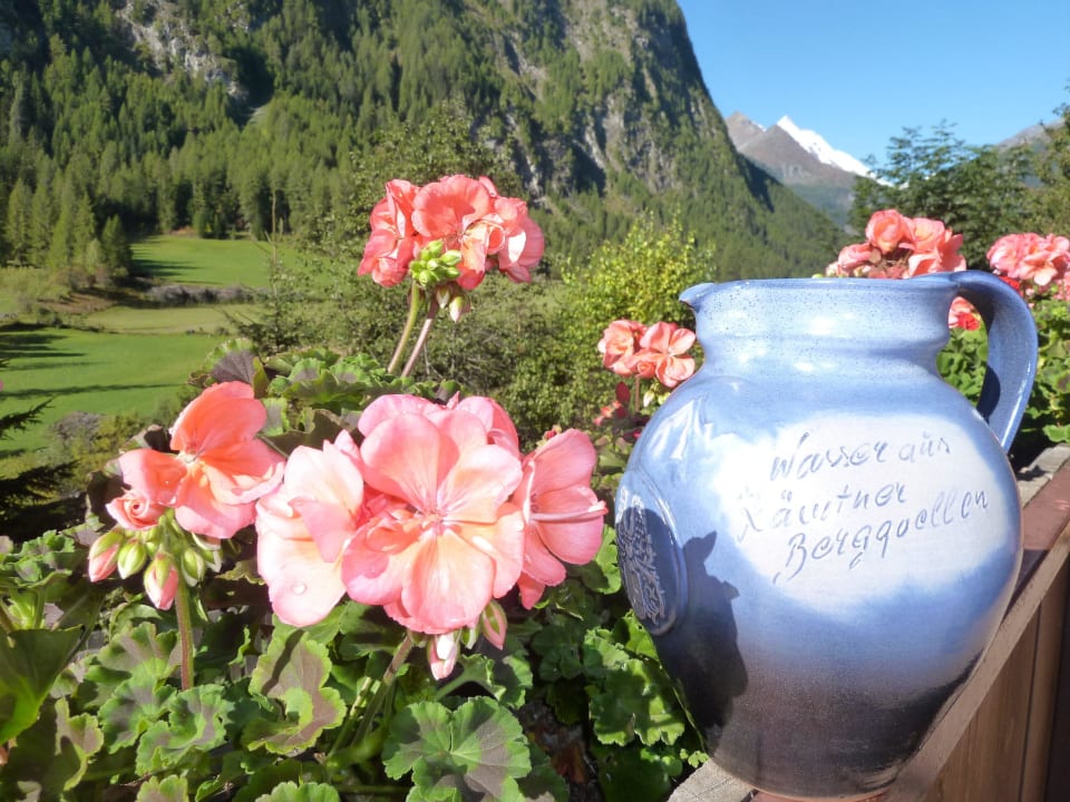 Heiligenblut_ Bauernhof_Grossglockner_blick  Erlebnisbauernhof Stempf