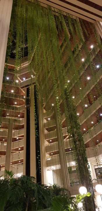 Lobby Blau varadero - Adults only