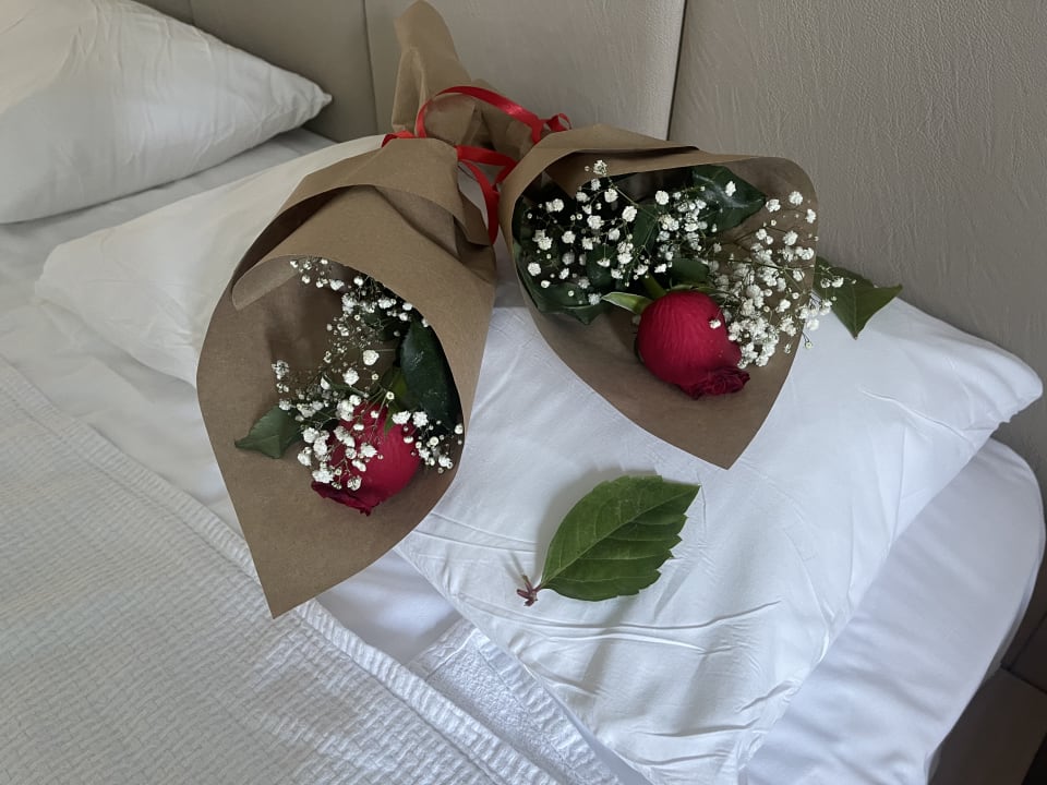 Zimmer Belek Beach Resort Hotel