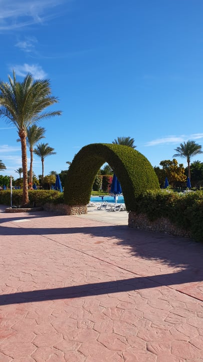 Gartenanlage Desert Rose