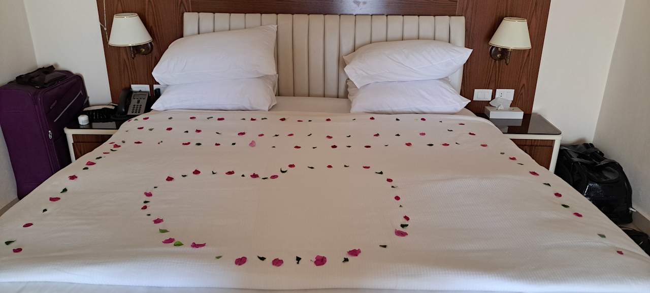 Zimmer Pickalbatros Citadel Resort