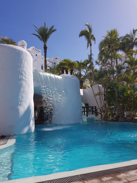 Pool Dreams Jardín Tropical