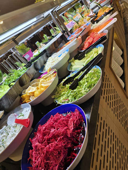 Gastro Seashell Vega