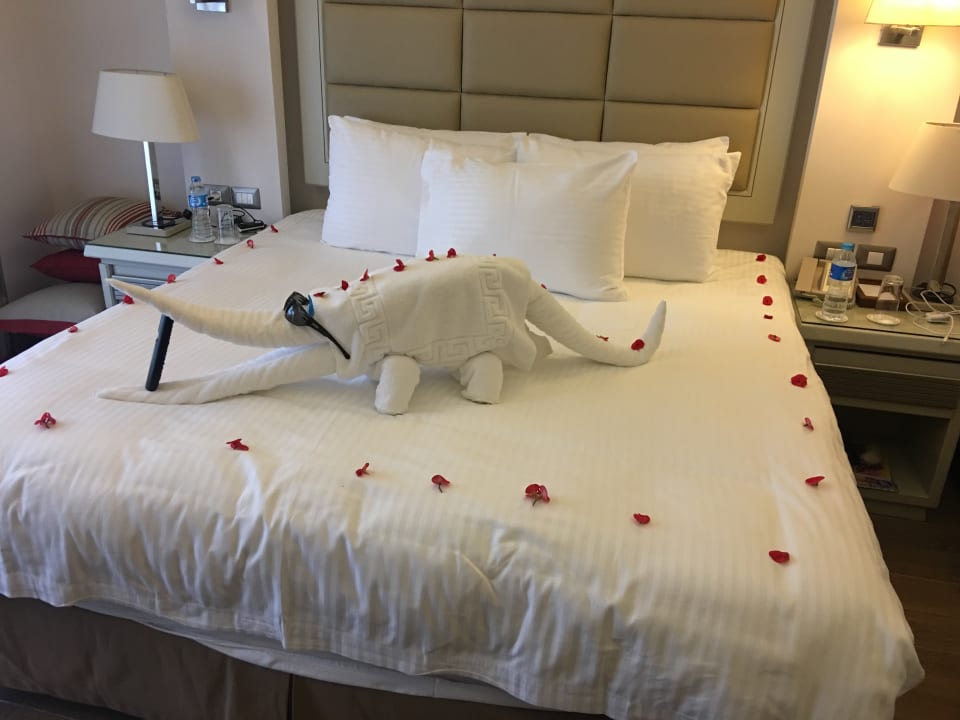 Zimmer Rixos Premium Seagate