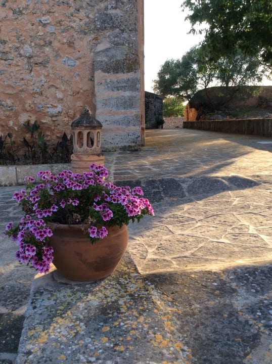 Detalle exterior Hotel SON COSMET