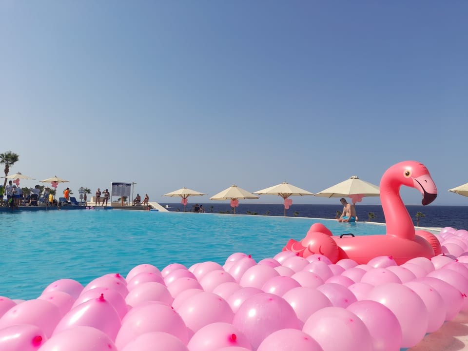 Pool Pickalbatros Citadel Resort