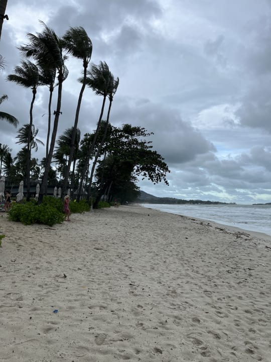 Strand Centara Reserve Samui