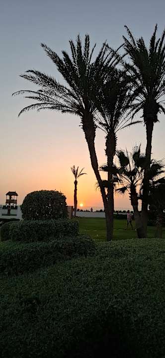 Ausblick Iberostar Waves Founty Beach