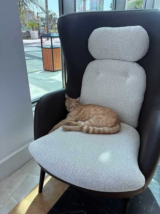 Lobby Alan Xafira Deluxe Resort & Spa