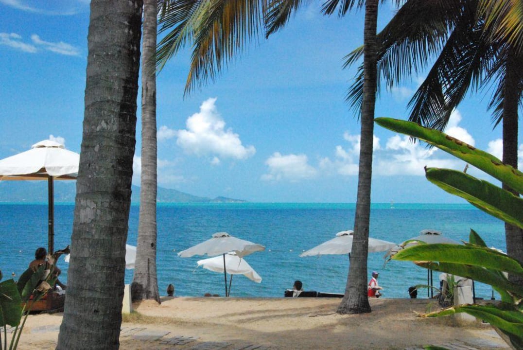 Der Strand! NH Collection Samui Peace Resort