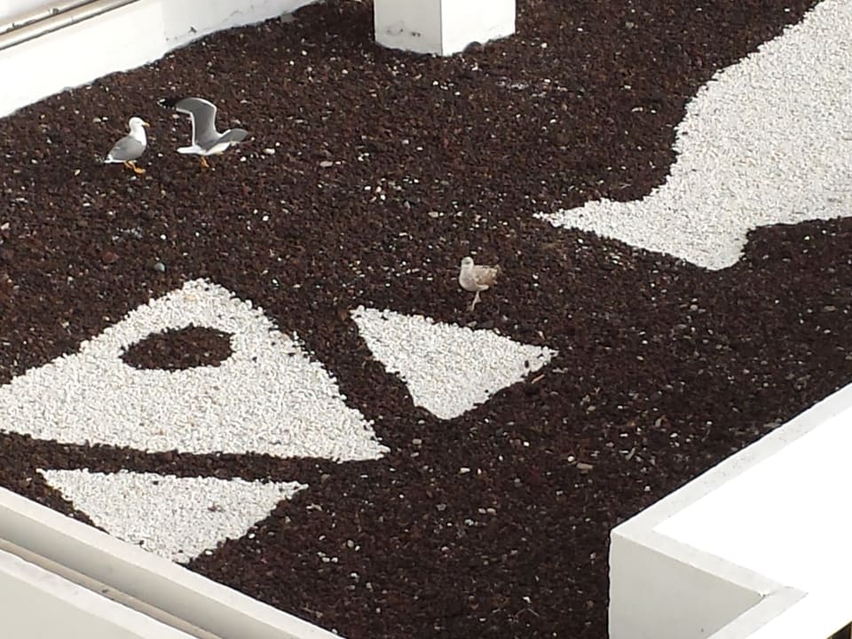 Sonstiges Iberostar Waves Las Dalias