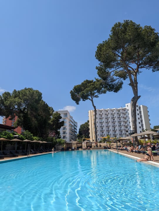 Pool Caramelo Palma Beach