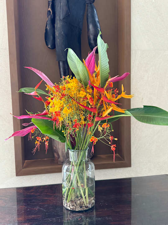 Lobby Hotel Riu Jambo