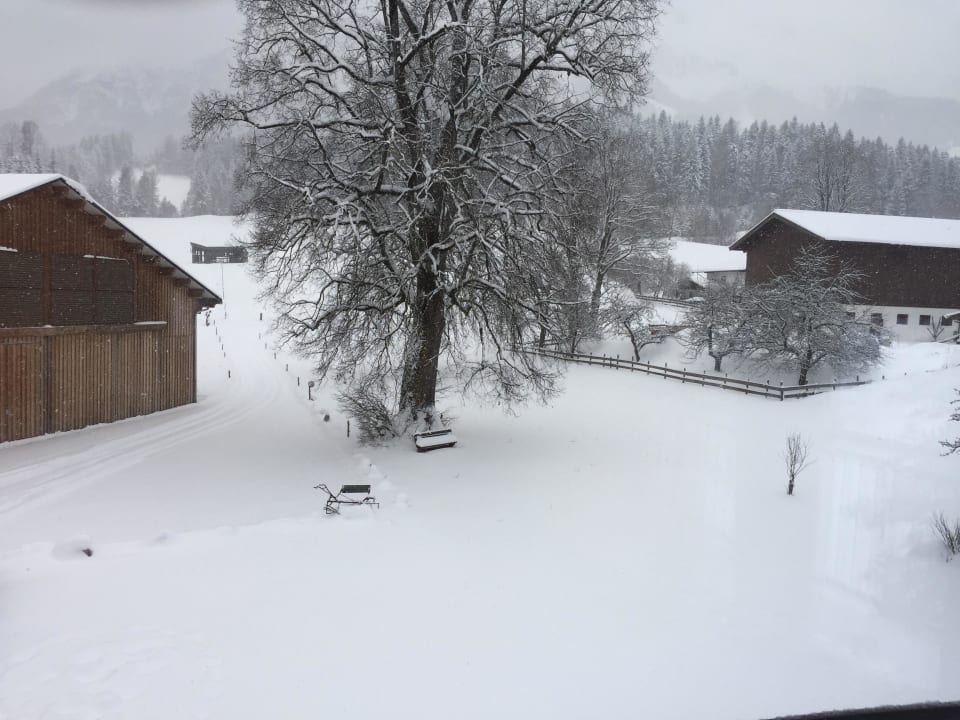 Schnee Bauernhof Lindenhof