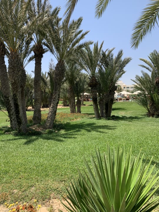 Gartenanlage Hotel Royal Garden Palace